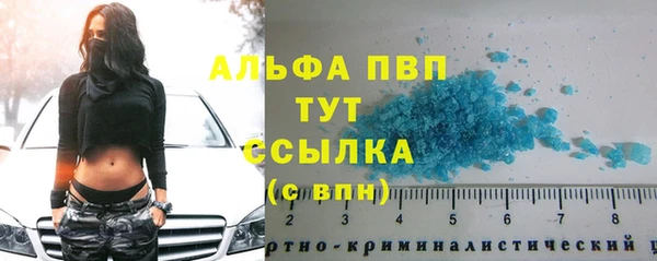прущая мука Гусев