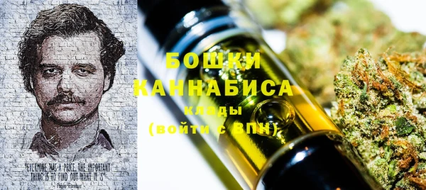 spice Гусь-Хрустальный