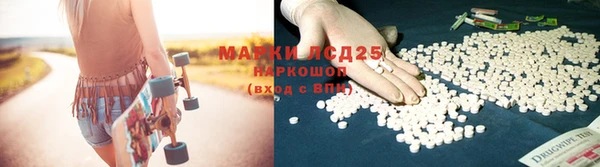 прущая мука Гусев