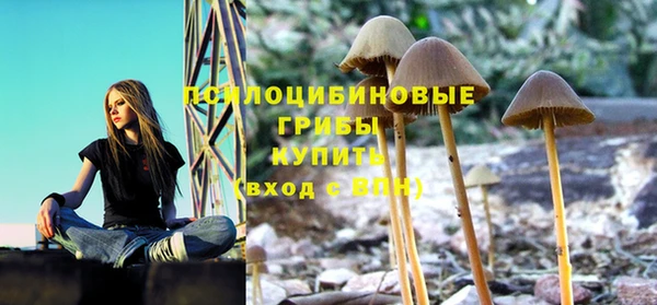 прущая мука Гусиноозёрск